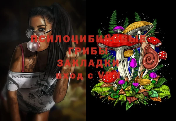 бошки Армянск