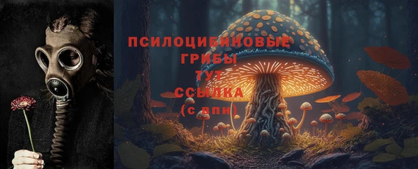 бошки Армянск