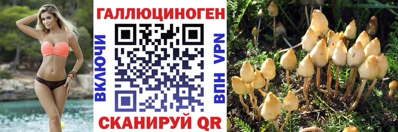Галлюциногенные грибы Magic Shrooms  гидра вход  Аркадак 